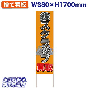 ĊŔ ̂ĊŔ SXNbv  NDS_30465y󒍐YiELZsz W380xH1700mm tJ[ ؐ ЍHꐻ @lK{