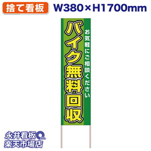 ĊŔ ̂ĊŔ oCN Cyɂk  NDS_30479y󒍐YiELZsz W380xH1700mm tJ[ ؐ ЍHꐻ @lK{