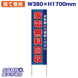 ĊŔ ̂ĊŔ Ɠd Cyɂk  NDS_30483y󒍐YiELZsz W380xH1700mm tJ[ ؐ ЍHꐻ @lK{