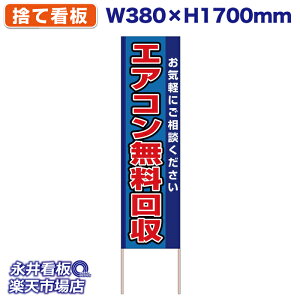 ĊŔ ̂ĊŔ GAR Cyɂk  NDS_30485y󒍐YiELZsz W380xH1700mm tJ[ ؐ ЍHꐻ @lK{