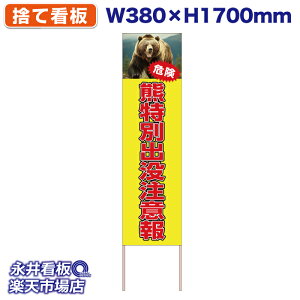 ĊŔ ̂ĊŔ Fʏovӕ qO} 댯 NDS_30532y󒍐YiELZsz W380xH1700mm tJ[ ؐ ЍHꐻ @lK{