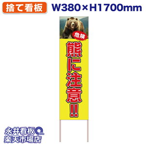 ĊŔ ̂ĊŔ Fɒ!! qO} 댯 NDS_30533y󒍐YiELZsz W380xH1700mm tJ[ ؐ ЍHꐻ @lK{