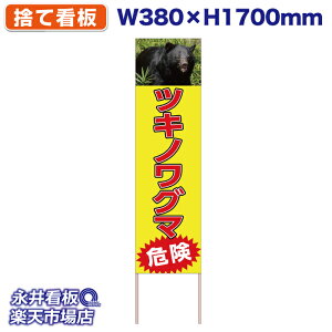 ĊŔ ̂ĊŔ cLmO} 댯 NDS_30538y󒍐YiELZsz W380xH1700mm tJ[ ؐ ЍHꐻ @lK{