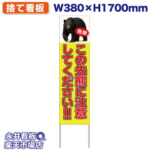 ĊŔ Ŕ ̐FɒӂĂ!! 댯 NDS_30550y󒍐YiELZsz W380xH1700mm tJ[ ؐ ЍHꐻ @lK{