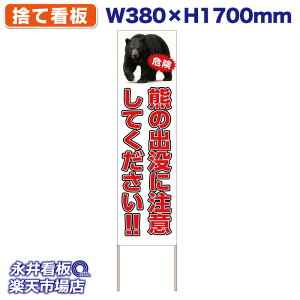 ĊŔ Ŕ F̏ovɒӂĂ!! 댯 NDS_30551y󒍐YiELZsz W380xH1700mm tJ[ ؐ ЍHꐻ @lK{