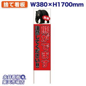 ĊŔ Ŕ Fł܂ ӂĂ!!  NDS_30552y󒍐YiELZsz W380xH1700mm tJ[ ؐ ЍHꐻ @lK{