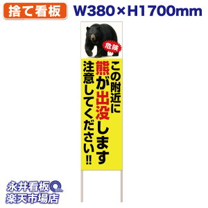 ĊŔ Ŕ ̕߂ɌFov܂ ӂĂ!!  NDS_30554y󒍐YiELZsz W380xH1700mm tJ[ ؐ ЍHꐻ @lK{