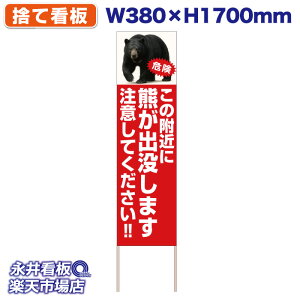 ĊŔ Ŕ ̕߂ɌFov܂ ӂĂ!!  NDS_30555y󒍐YiELZsz W380xH1700mm tJ[ ؐ ЍHꐻ @lK{