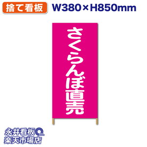 ĊŔ ؘgŔ n[tTCY ڒ ^[| NDSS_005y󒍐YiELZsz W380xH850mm tJ[ ؐ ЍHꐻ @lK{