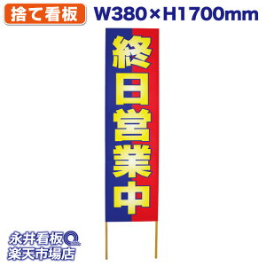 ĊŔ ̂ĊŔ Icƒ NDS_0120y󒍐YiELZsz W380xH1700mm tJ[ ؐ ЍHꐻ @lK{