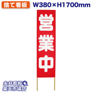 ĊŔ ̂ĊŔ cƒ NDS_0114y󒍐YiELZsz W380xH1700mm tJ[ ؐ ЍHꐻ @lK{