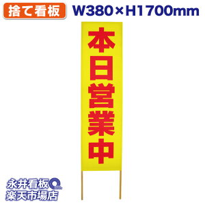 ĊŔ ̂ĊŔ {cƒ NDS_0115y󒍐YiELZsz W380xH1700mm tJ[ ؐ ЍHꐻ @lK{