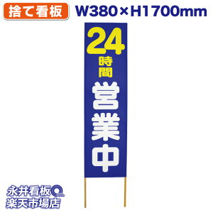 ĊŔ ̂ĊŔ 24ԉcƒ NDS_0116y󒍐YiELZsz W380xH1700mm tJ[ ؐ ЍHꐻ @lK{