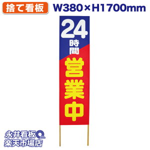 ĊŔ ̂ĊŔ 24ԉcƒ NDS_0118y󒍐YiELZsz W380xH1700mm tJ[ ؐ ЍHꐻ @lK{