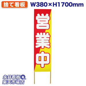 ĊŔ ̂ĊŔ cƒ NDS_0119y󒍐YiELZsz W380xH1700mm tJ[ ؐ ЍHꐻ @lK{