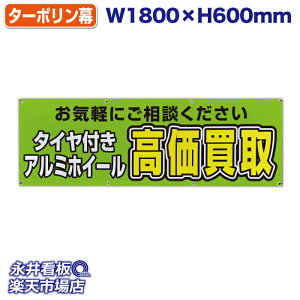 f ^[| ^CtA~zC[  Cyɂk ̓Jbĝ݁Engia1.2cmj⋭iSj8 NDT_0006y󒍐YiELZsz W180