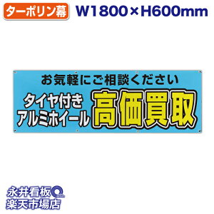 f ^[| ^CtA~zC[ F Cyɂk ̓Jbĝ݁Engia1.2cmj⋭iSj8 NDT_0007y󒍐YiELZsz W