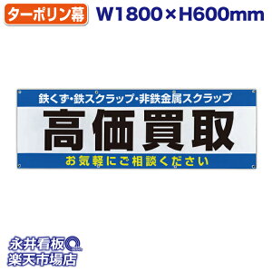 f ^[|  SESXNbvESXNbv Cyɂk ̓Jbĝ݁Engia1.2cmj⋭iSj8 NDT_0008y󒍐YiEL