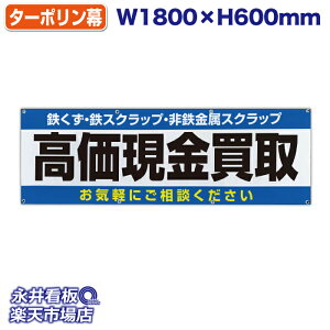 f ^[|  SESXNbvESXNbv Cyɂk ̓Jbĝ݁Engia1.2cmj⋭iSj8 NDT_0009y󒍐YiE