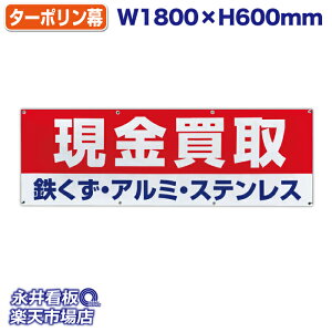 f ^[|  SEA~EXeX Cyɂk  ̓Jbĝ݁Engia1.2cmj⋭iSj8 NDT_0011y󒍐YiELZsz 