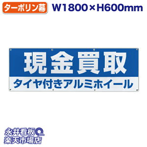 f ^[|  ^CtA~zC[ Cyɂk  ̓Jbĝ݁Engia1.2cmj⋭iSj8 NDT_0013y󒍐YiELZsz W18