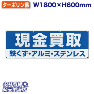 f ^[|  SEA~EXeX Cyɂk  ̓Jbĝ݁Engia1.2cmj⋭iSj8 NDT_0014y󒍐YiELZsz 