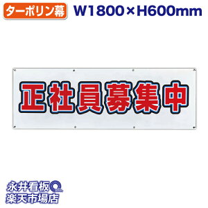 f ^[| ЈW ̓Jbĝ݁Engia1.2cmj⋭iSj8 NDT_0017y󒍐YiELZsz W1800xH600mm tJ[ ЍHꐻ