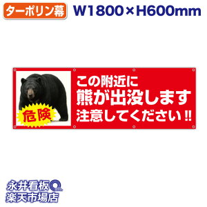 f ^[| ̕߂ɌFov܂ ӂĂ!! ̓Jbĝ݁Engia1.2cmj⋭iSj8 NDT_0036y󒍐YiELZsz W1800xH600mm tJ