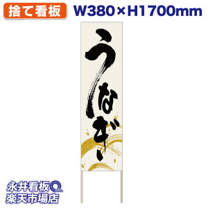 ĊŔ Ŕ Ȃ V EiM NDS_30558y󒍐YiELZsz W380xH1700mm tJ[ ؐ ЍHꐻ @lK{