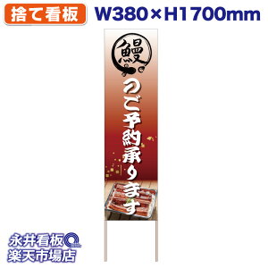 ĊŔ Ŕ V̂\񏳂܂ ʐ^ Ȃ EiM NDS_30561y󒍐YiELZsz W380xH1700mm tJ[ ؐ ЍHꐻ @lK{