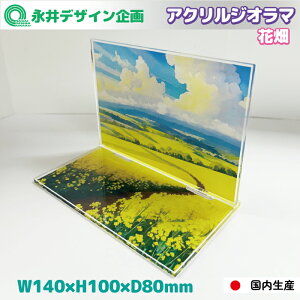 ANWI} Ԕ wiWI} ANX^h  NAC_0009y󒍐YiELZsz 3mm tJ[