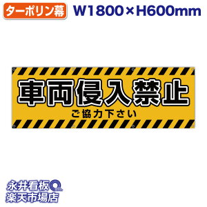 f ^[| ԗN֎~ ͉ Օ ̓Jbĝ݁Engia1.2cmj⋭iSj8 NDY_40017y󒍐YiELZsz W1800xH600mm tJ[ ЍH