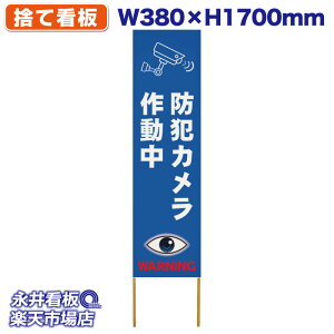 ���ĊŔ� �^�[�|���� �h�ƃJ�����쓮�� NDS_40129�y�󒍐��Y�i�E�L�����Z���s�z W380xH1700mm �t���J���[��� �ؐ� ���ЍH�ꐻ�� �@�l���K�{