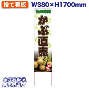 ���ĊŔ� �̂ĊŔ��Ԓ��� �{�̖� NDS_50031�y�󒍐��Y�i�E�L�����Z���s�z W380xH1700mm �t���J���[��� �ؐ� ���ЍH�ꐻ�� �@�l���K�{