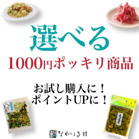 1000円 ポッキリ 送料無料 郵便受《九州 産》高菜 ご飯の素 120g｜ 紅しょうが からし高菜 辛子 たかな 高菜漬物 味噌汁の具 漬け物 漬物 おにぎりの具 ご飯のお供 つまみ 酒の肴 個包装 小分け 保存料不使用 辛い 常温 常温保存 取り寄せ 九州 グルメ ギフト