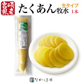 《宮崎県産 無添加》手作り たくあん 1本 牧水 生タイプ（約500g）｜ 沢庵 たくわん 漬物 漬け物 たくあん 宮崎 ご飯のお供 ごはんのお供 無添加 無着色 個包装 常温保存 野菜 大根 だいこん 大根の漬物 自然食品 健康食品 昔ながら 沢庵 昔ながらの沢庵 お取り寄せ