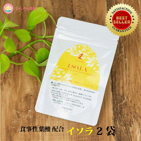 妊活 サプリ アグリマックス90mg 【イソラ 2ヶ月分】 葉酸 妊活 サプリ 葉酸サプリ アグリコン型 大豆 イソフラボン ビタミンD ビタミンB6 ビタミンB12 ビタミンC ビタミンE コエンザイムQ10 レモン葉酸 発酵大豆胚芽