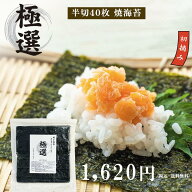 【受注生産品】【送料無料】有明海産の初摘み厳選　焼き海苔「極選」【半切40枚】