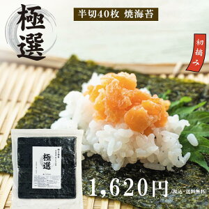 yzLCY̏E݌I@ĂCہuɑIvy40z