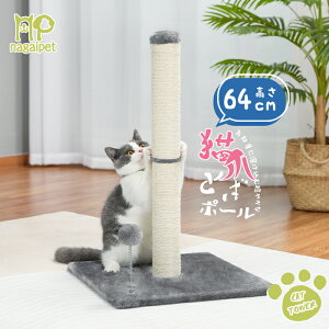 yP10{ESSԌz܂Ƃ |[  VRTCU O[ || ܖ ^Lbg^[ L^[ ȃXy[X RpNg ^s Vя R  lC Lpi 