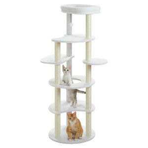 Lbg^[ X ^L   ȃXy[X u ܂Ƃ R   o~₷ iʔ\ lC ^s |h~ѕt 154cm