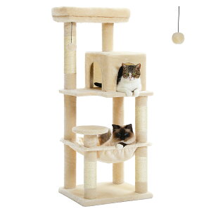 Lbg^[ X RpNg L^[ u u^ ȃXy[X nbN ܌  lC {{ VRR Vv ^s  M 116cm