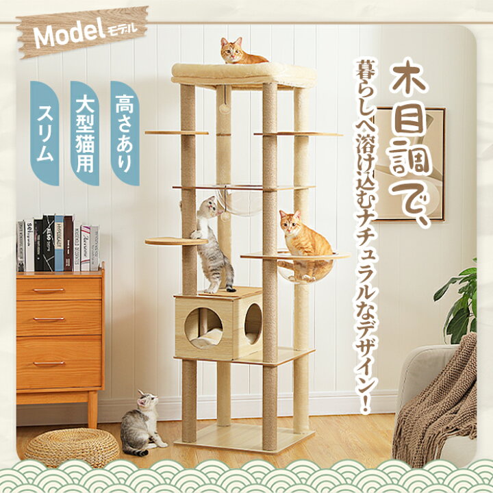楽天市場】【エントリーでP合計19倍】1000円OFF Nagaipet キャット 