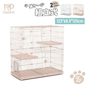 LP[W LbgP[W 2i 3i ybg LX tnEX X`[ LX^[t ȒP  Vv gȒP   zCg x[W 123×s60.5×1