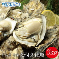 加熱用　送料無料 宮城県 松島産 殻付き牡蠣3kg【約20個～60個】訳あり規格外サイズ　※個数指定不可 旬…