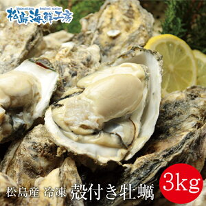 Mp@ {錧 Y kty3kgy20`60z󂠂KiOTCY@ws {̐g̗ǂJL}Ⓚ܂I@ Y@Yn