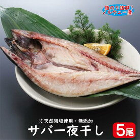 サバ一夜干し 5枚セット（1尾：約350g）（ さば サバ 鯖 塩サバ 干物 一夜干し ノルウェー 魚 肴 美容 健康 ）