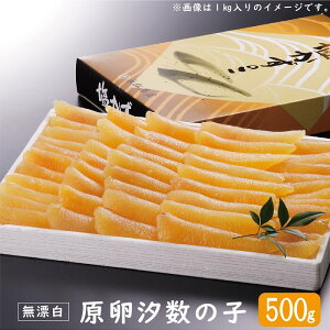 Ji_Y  ̎q 500giYj ̎q  ̂ ̎q 蕨 Mtg