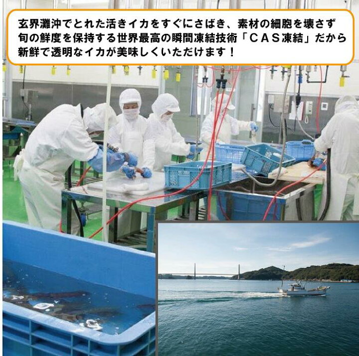 楽天市場 呼子イカ姿造り 2杯セット 剣先イカ 剣先 イカ いか 姿造り 活き造り 刺身 イカ刺し イカ刺身 いか刺身 呼子 九州 国産 贈答 ギフト 母の日 父の日 永松商店 楽天市場 呼子イカ姿造り 2杯セット 剣先イカ 剣先 イカ いか 姿造り 活き造り 刺身 イカ刺し イカ刺身 いか刺身 呼子 九州 国産 贈答 ギフト 母の日 父の日 永松商店