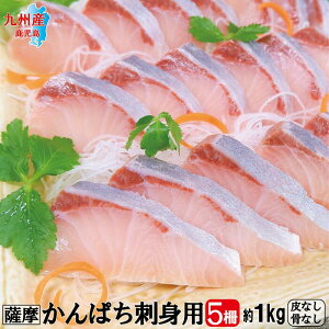 かんぱち 魚の人気商品 通販 価格比較 価格 Com かんぱち 魚の人気商品 通販 価格比較 価格 Com